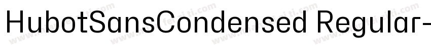 HubotSansCondensed Regular字体转换